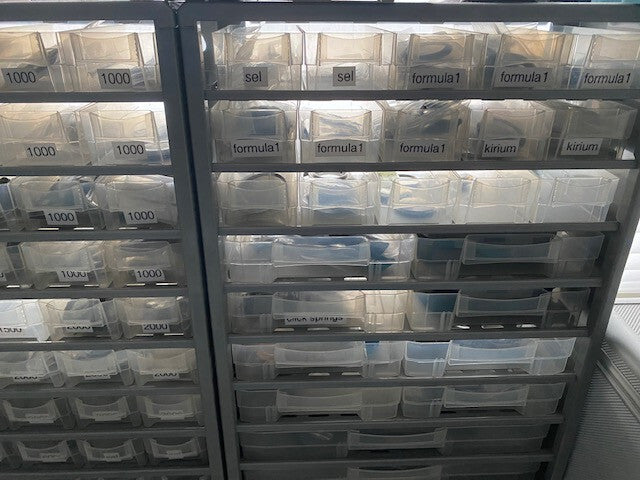 Traditional watch movement servicing for any (TAG )Heuer Quartz movement from EU